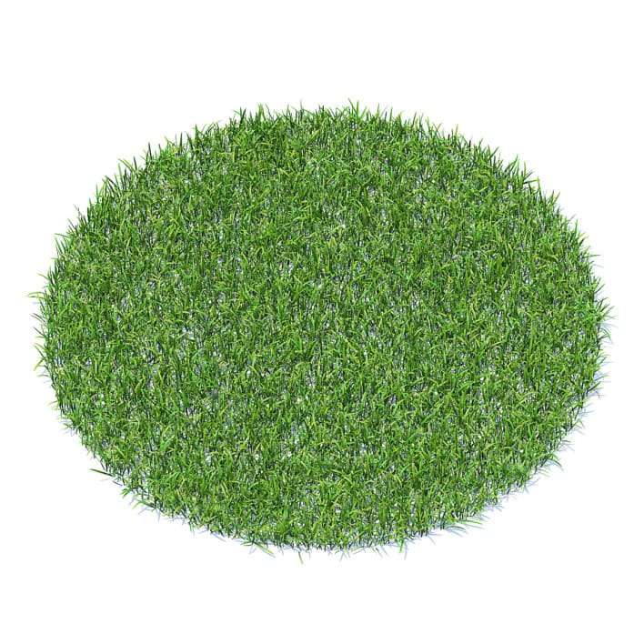 Short Grass 3D Model