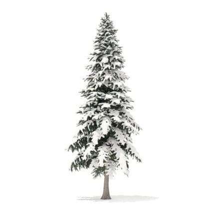 Spruce Tree with Snow 3D Model 6.4m